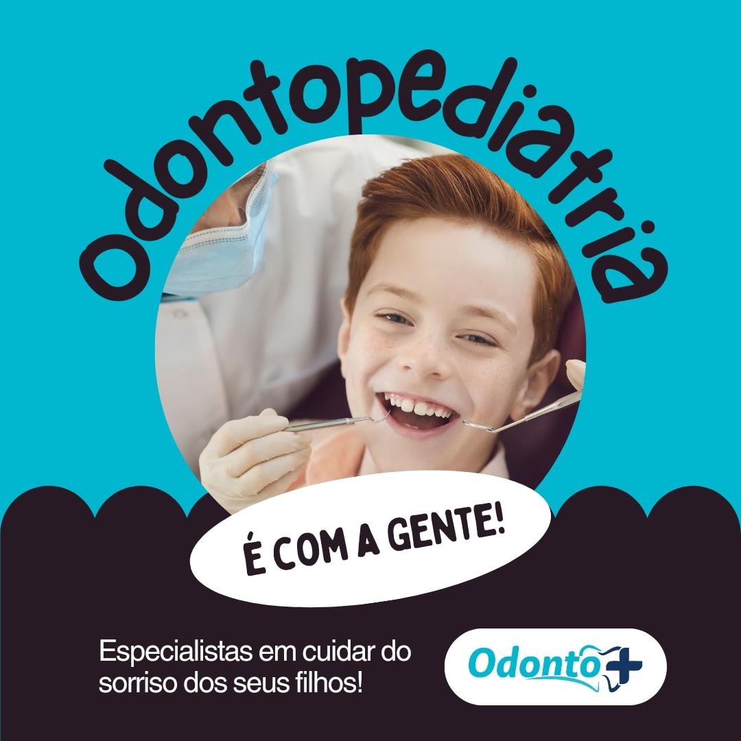 Foto 5 da galeria